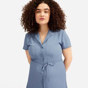 Everlane Japanese Goweave Dress